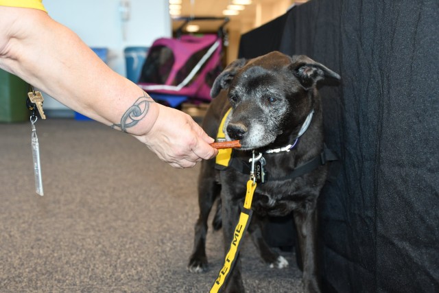 Agency Photo  (190809)