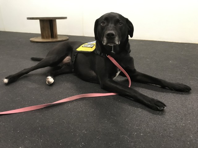 Agency Photo  (190878)