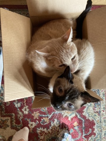 Agency Photo  (190850)