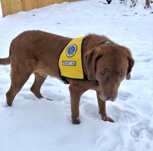 Agency Photo  (190776)