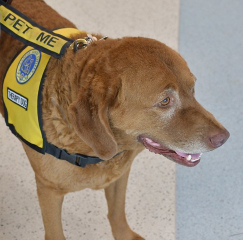 Agency Photo  (193917)