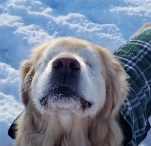 Agency Photo  (190777)