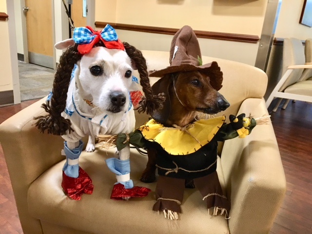 Agency Photo  (190853)