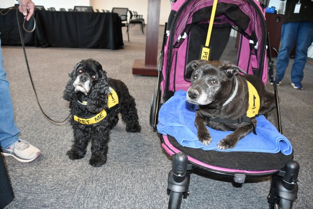 Agency Photo  (190810)