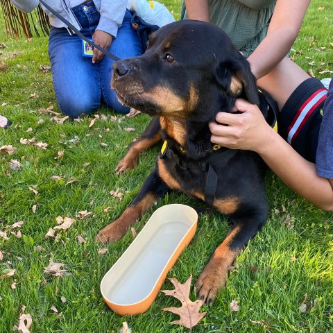 Agency Photo  (190829)