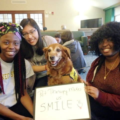 Agency Photo  (190858)