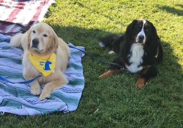 Agency Photo  (190861)