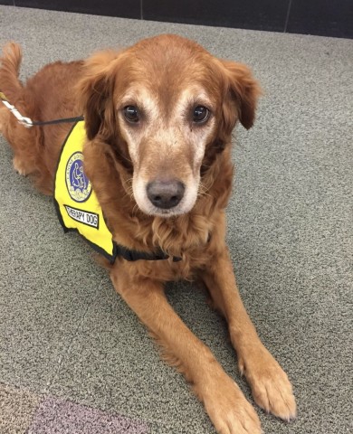 Agency Photo  (190840)