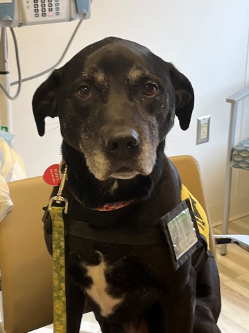 Agency Photo  (190821)