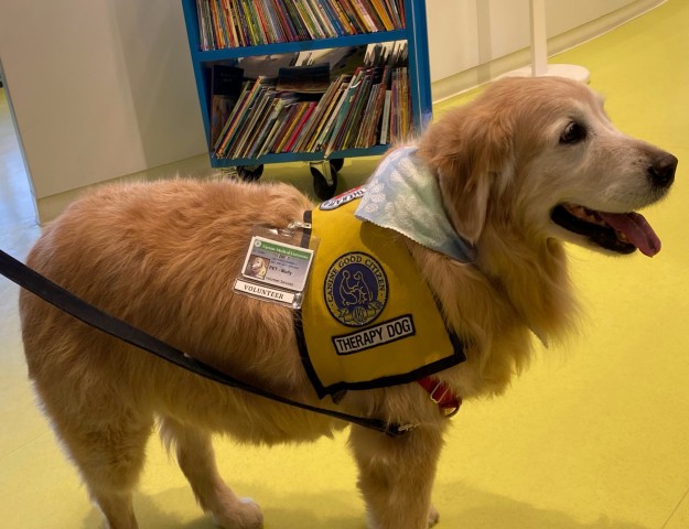 Agency Photo  (190807)