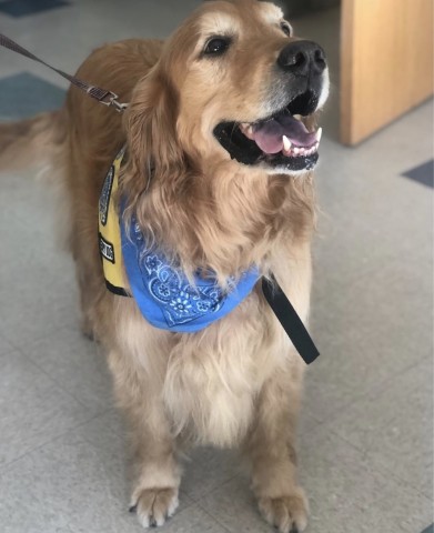 Agency Photo  (190871)