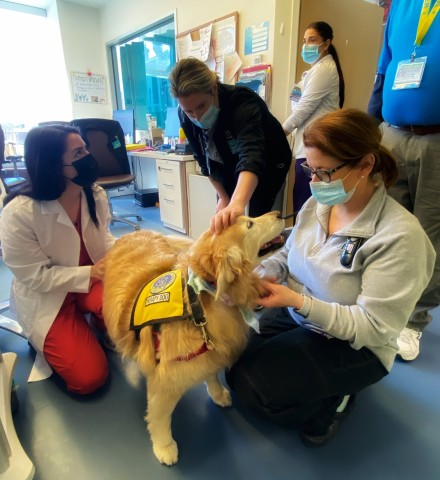 Agency Photo  (190808)