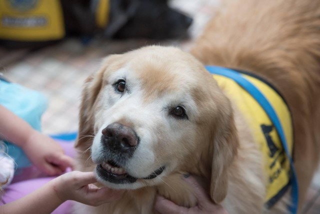 Agency Photo  (190854)