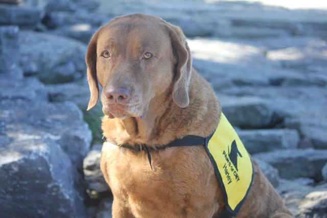 Agency Photo  (190837)