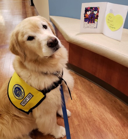 Agency Photo  (190863)