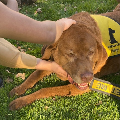 Agency Photo  (190796)