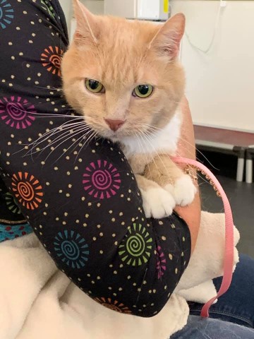 Agency Photo  (190772)