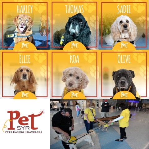 Agency Photo  (190831)