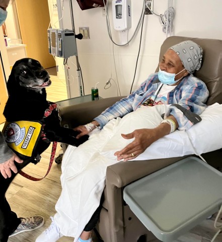 Agency Photo  (193925)