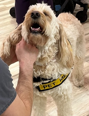 Agency Photo  (193923)