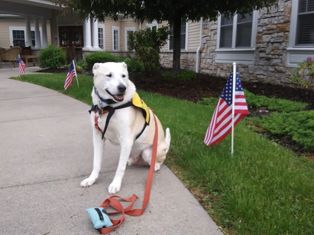 Agency Photo  (190877)