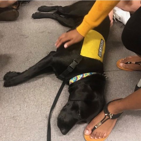 Agency Photo  (190761)