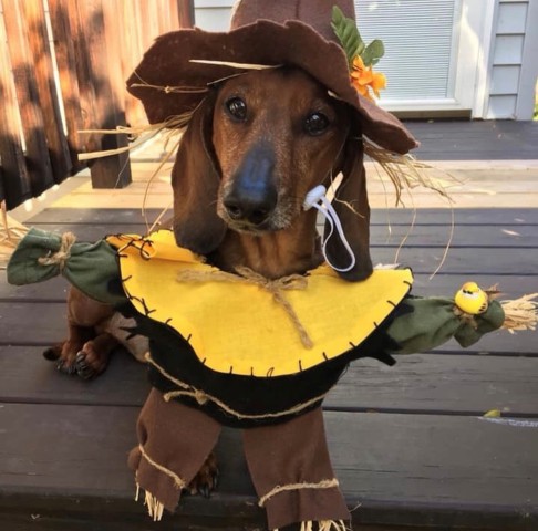 Agency Photo  (190848)