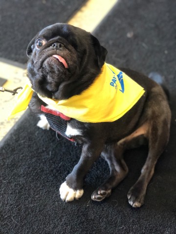 Agency Photo  (190864)