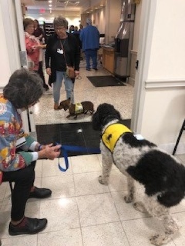 Agency Photo  (190865)