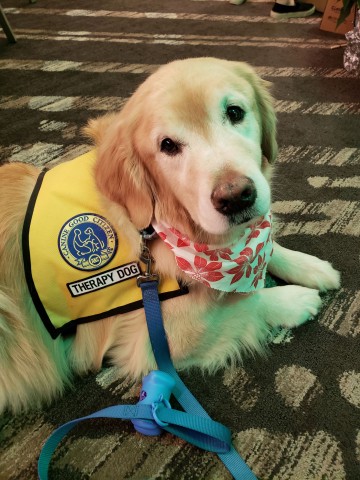 Agency Photo  (190879)