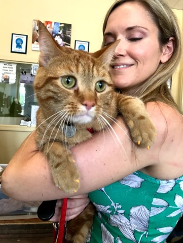 Agency Photo  (190856)