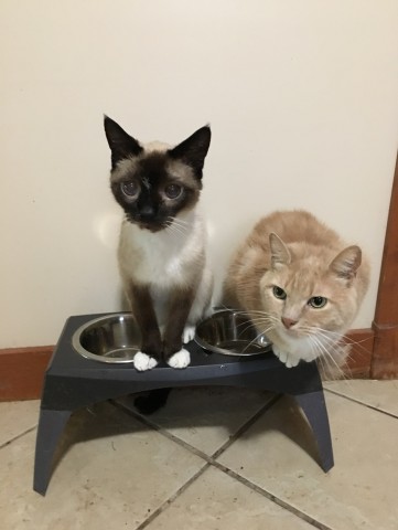 Agency Photo  (190847)