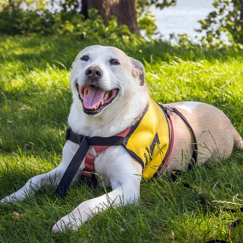 Agency Photo  (190839)