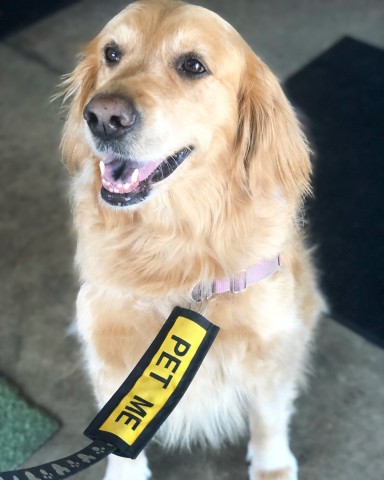 Agency Photo  (190842)