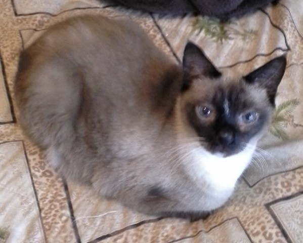 Agency Photo  (190870)