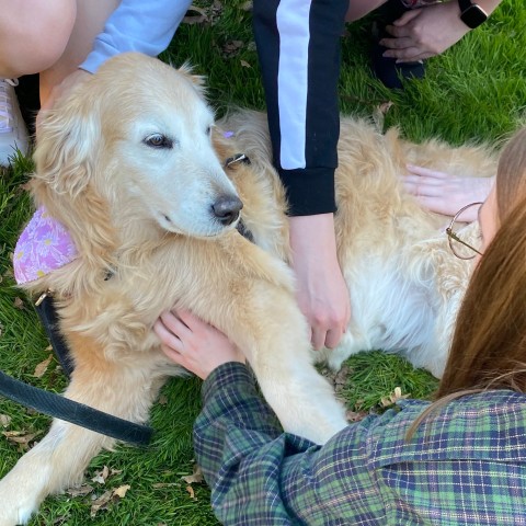 Agency Photo  (190814)