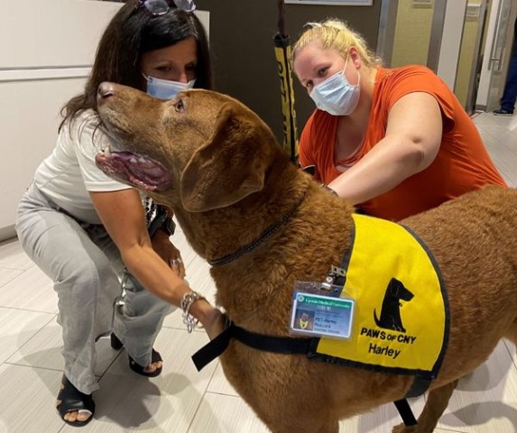 Agency Photo  (190760)