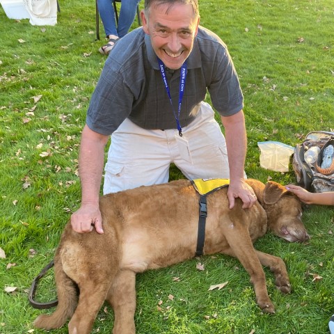 Agency Photo  (190795)