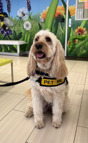 Agency Photo  (190820)