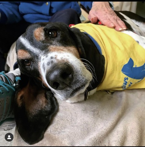 Agency Photo  (190836)