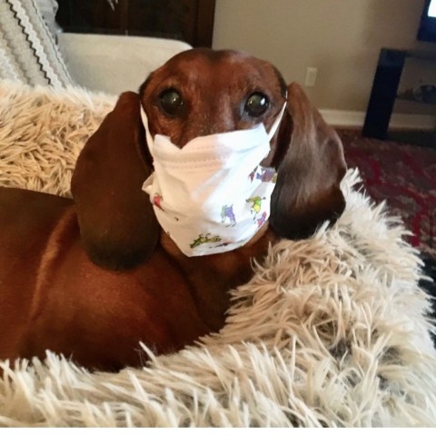 Agency Photo  (190872)