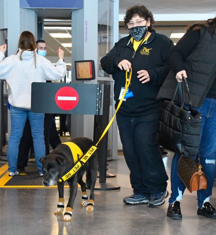 Agency Photo  (190811)