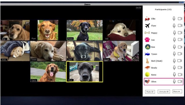 Agency Photo  (190866)