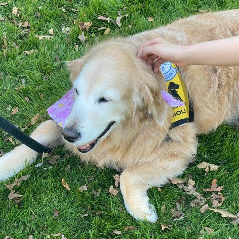 Agency Photo  (190815)