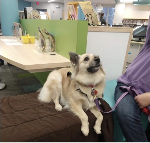 Agency Photo  (190818)