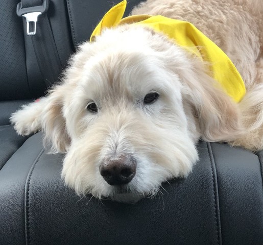 Agency Photo  (190855)