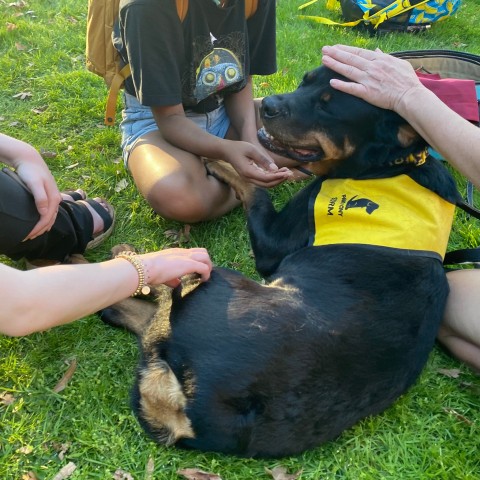 Agency Photo  (190828)