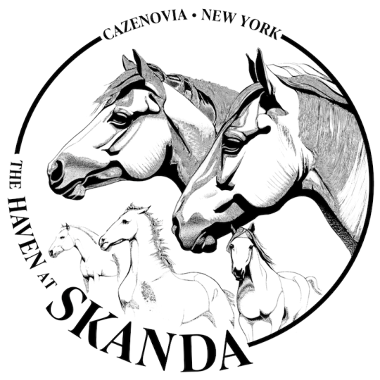 Agency Logo