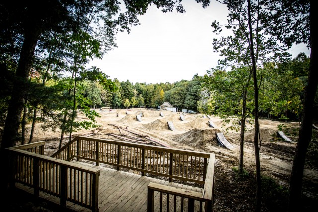 Agency Photo  (98795)