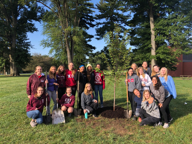 Agency Photo  (118590)